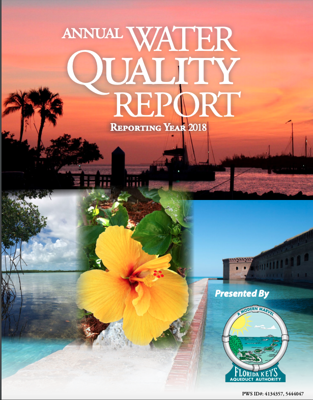 water quality report